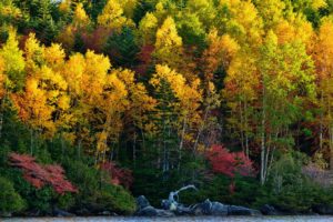 autumn, Fall, Trees, Nature, Stones, Lake, River, Forest, Hill
