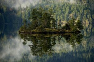 forest, Lake, Island, Mist, Reflection, Volcano, Crater, Oregon, Mountains