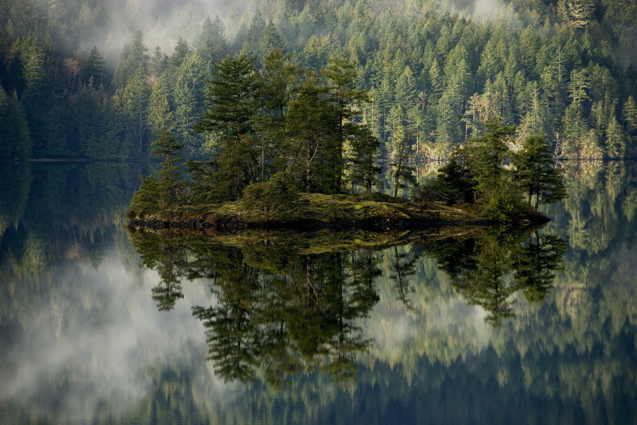 forest, Lake, Island, Mist, Reflection, Volcano, Crater, Oregon, Mountains Wallpaper
