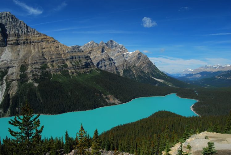 lake, Mountain, Forest, Landscape, Peyto, Lake, Banff, National, Park, Canada, Peyto, Canada, Trees, Firs HD Wallpaper Desktop Background