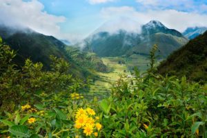 pululahua, Ecuador, Landscape, Mountains, Flower