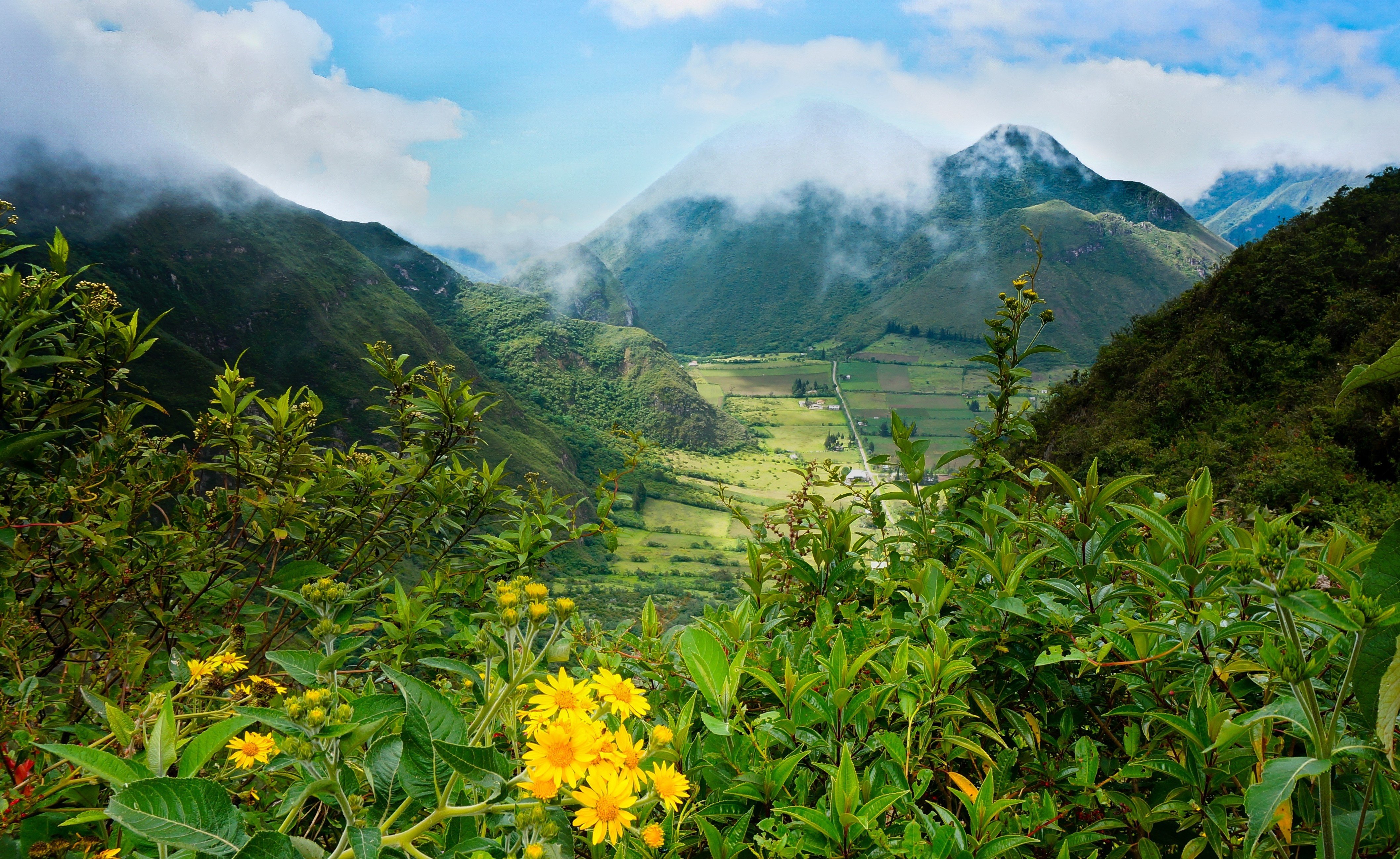 pululahua, Ecuador, Landscape, Mountains, Flower Wallpaper