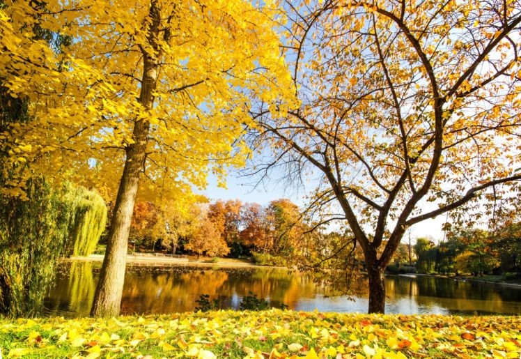reflection, River, Trees, Autumn HD Wallpaper Desktop Background