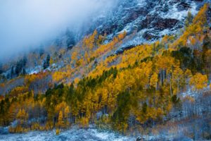 snow, Mountains, Woods, Forest, Maroon, Bells, Colorado, Autumn, Usa