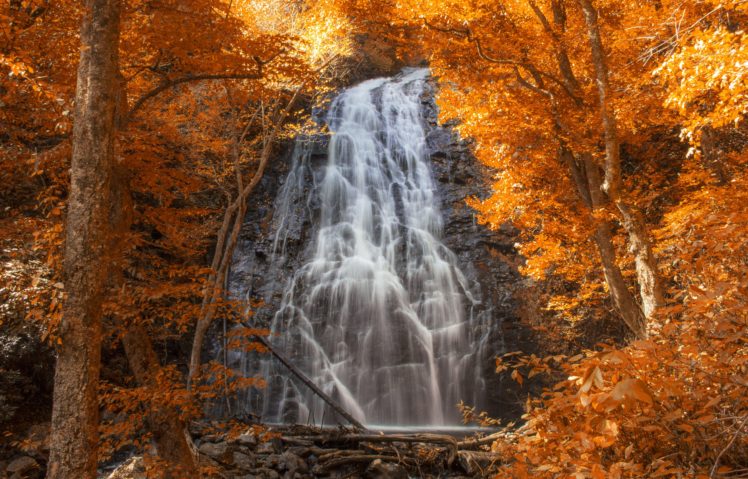 waterfall, Cascade, Forest, Autumn HD Wallpaper Desktop Background