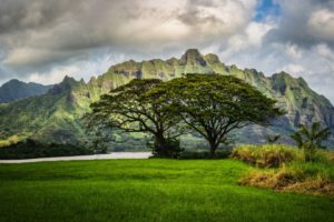 mountains, Trees, Oahu, Hawaii, Landscape, Clouds