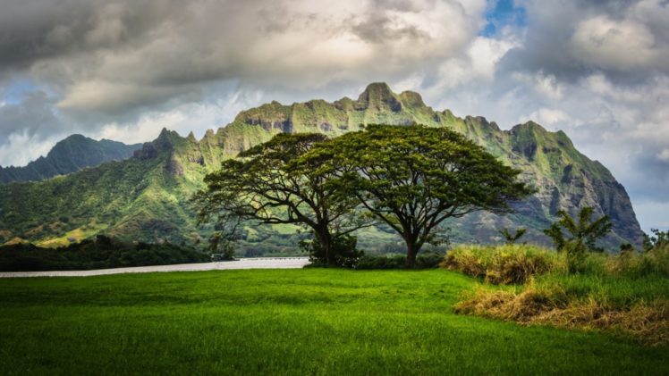 mountains, Trees, Oahu, Hawaii, Landscape, Clouds HD Wallpaper Desktop Background