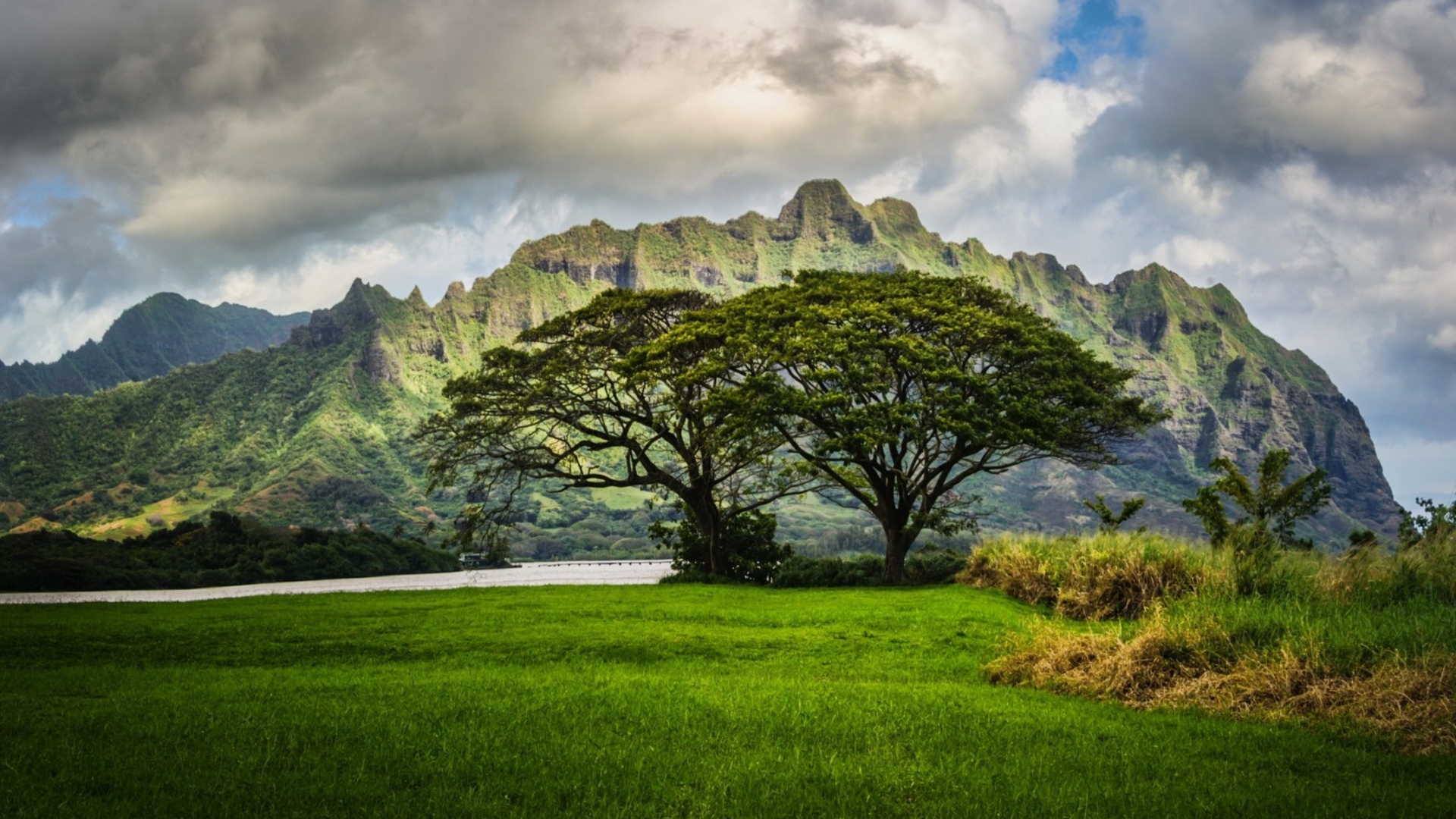 mountains, Trees, Oahu, Hawaii, Landscape, Clouds Wallpaper
