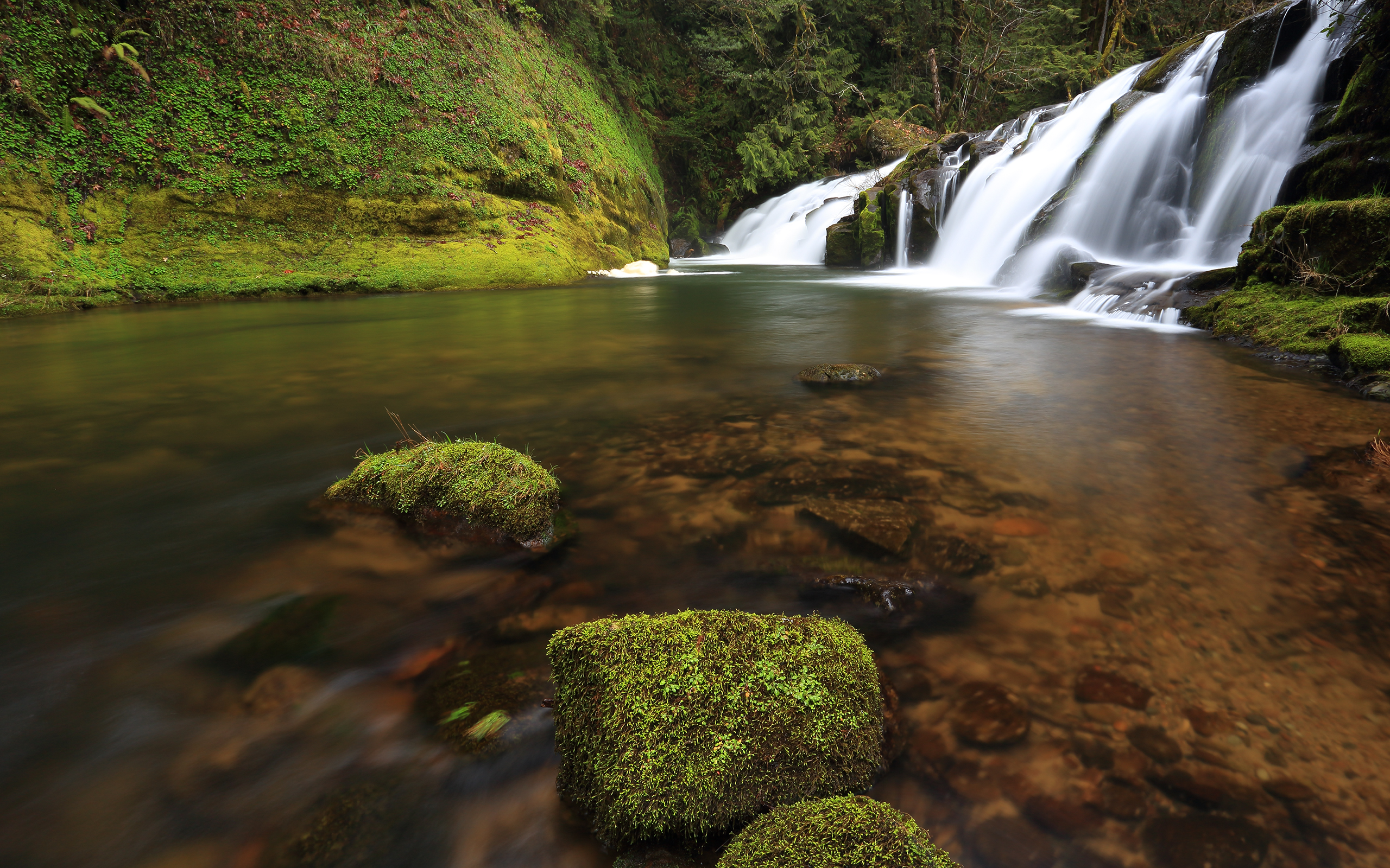 waterfall, Moss, River, Forest Wallpaper