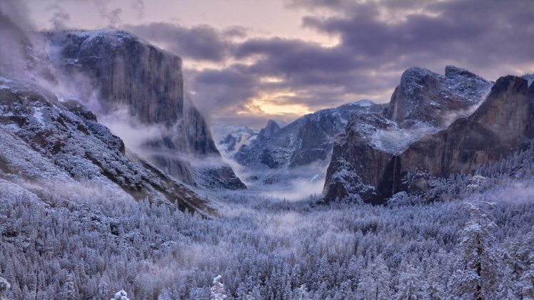 yosemite, Fog, Mist, Trees, Mountains, Landscape, Forest, Winter HD Wallpaper Desktop Background