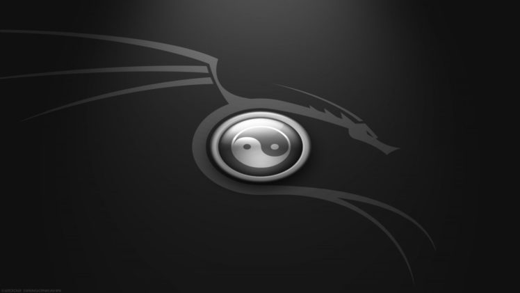 yin, Yang,  , Dragon, Fantasy HD Wallpaper Desktop Background