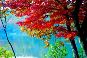 autumn, Lake