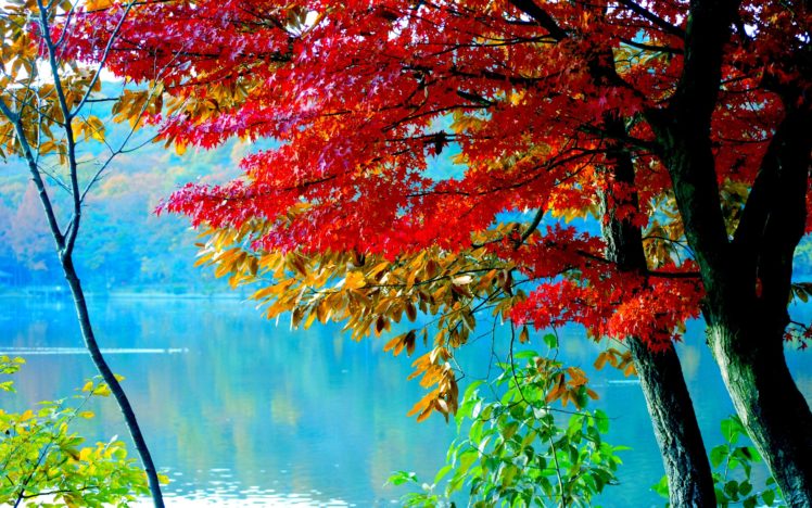 autumn, Lake HD Wallpaper Desktop Background