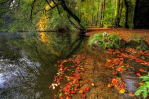 river, Autumn, Foliage, Nature