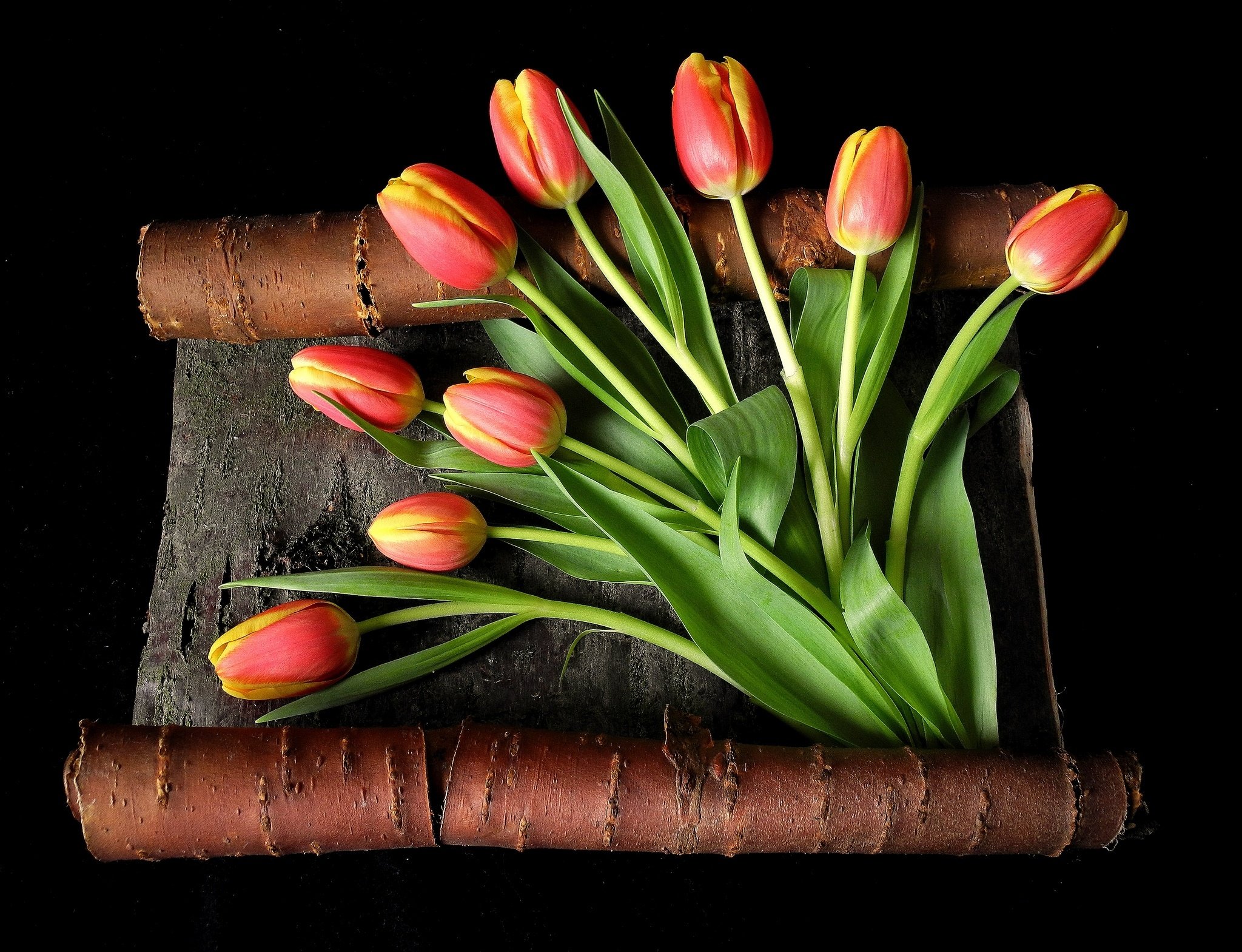 tulips, Yellow, Flowers, Red Wallpaper