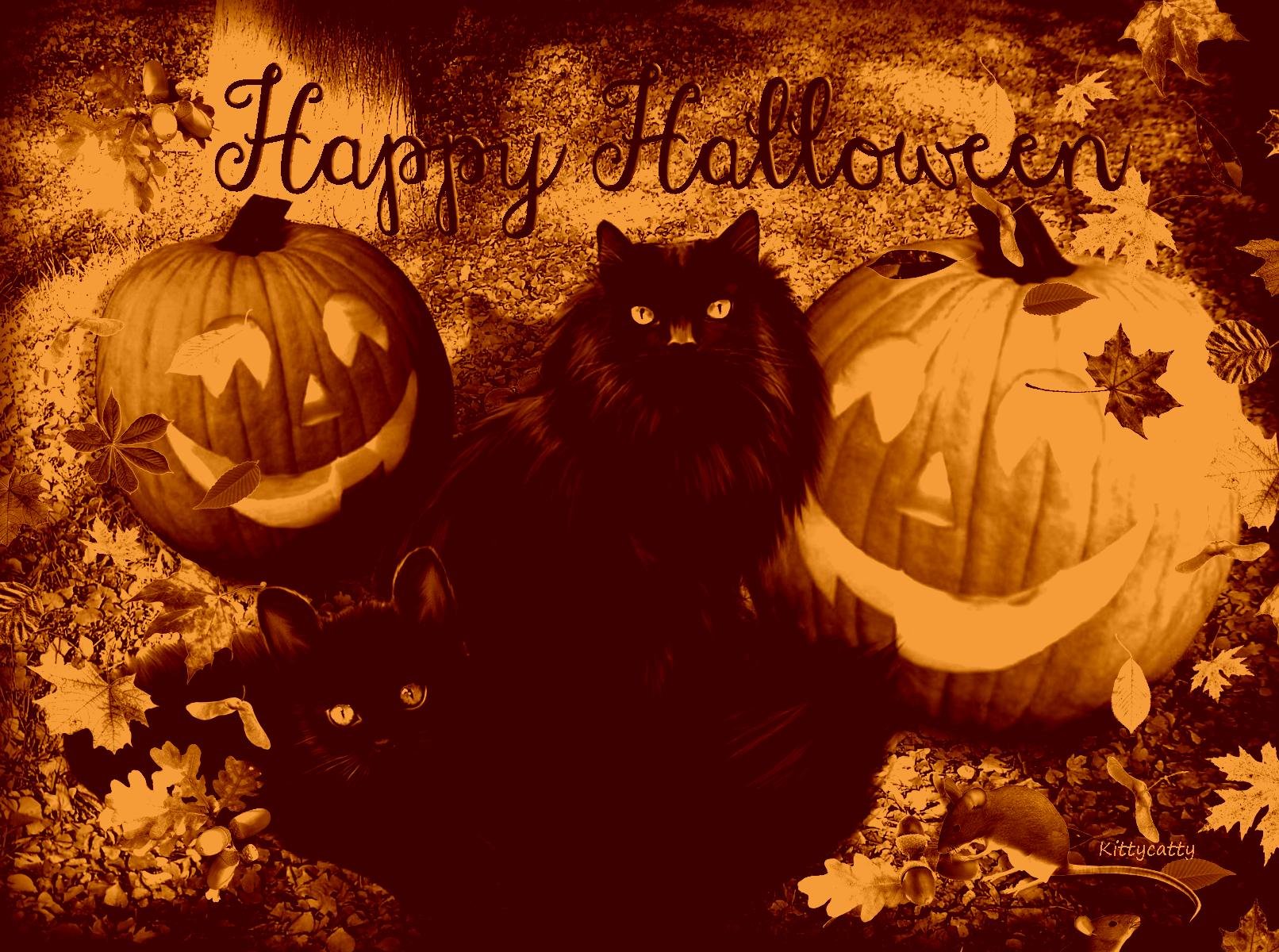 halloween Wallpaper