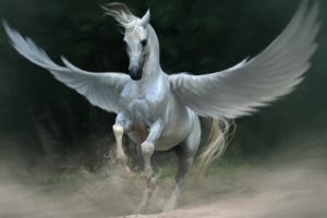 art, Fantasy, Pegasus, Horse, White, Wings, Dust, Sand