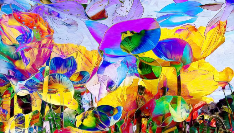 flowers, Petals, Garden, Nature, Foliage, Meadow HD Wallpaper Desktop Background