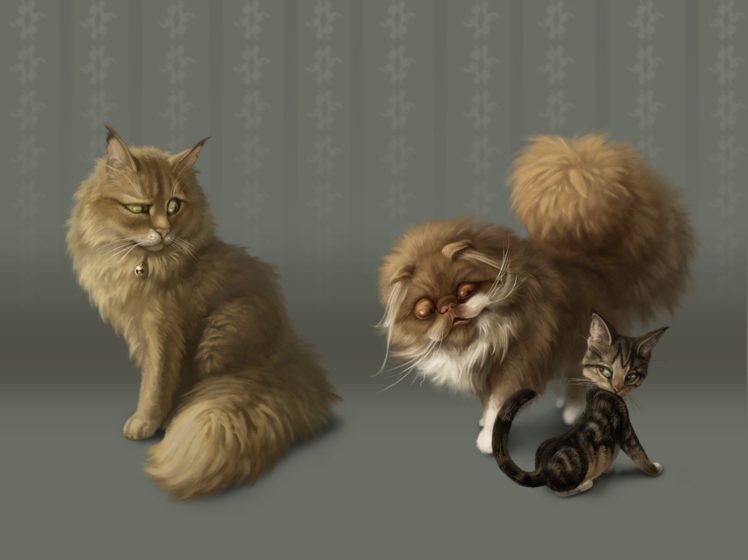 cat, Figure, Fan, Art HD Wallpaper Desktop Background