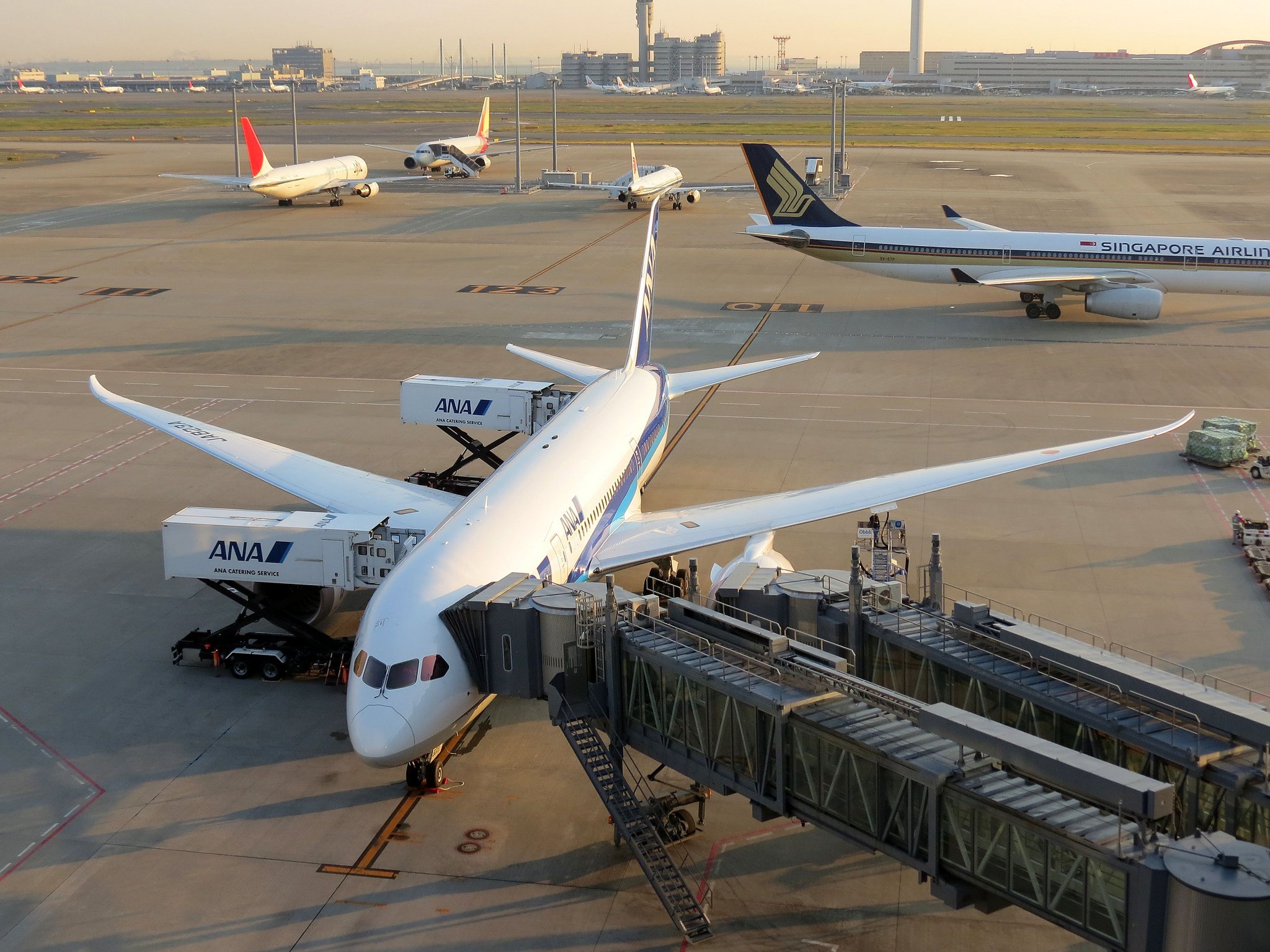 boeing 787, Dreamliner, Airliner, Airplane, Plane, Transport, Aircrafts Wallpaper