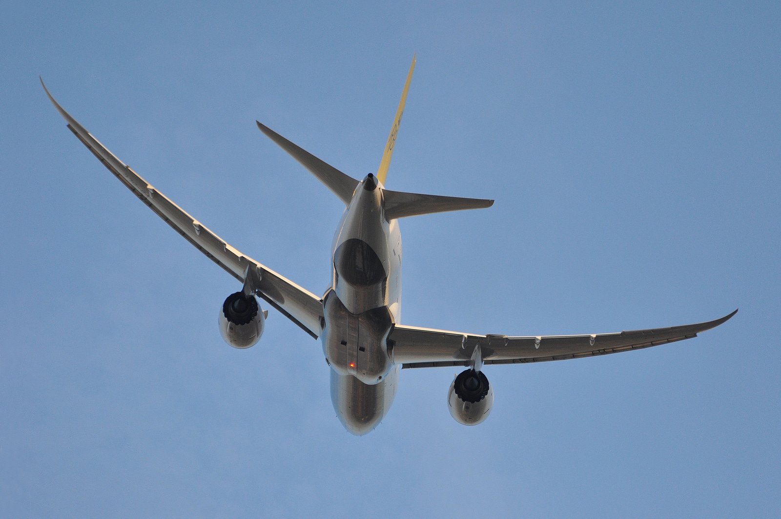 boeing 787, Dreamliner, Airliner, Airplane, Plane, Transport, Aircrafts Wallpaper