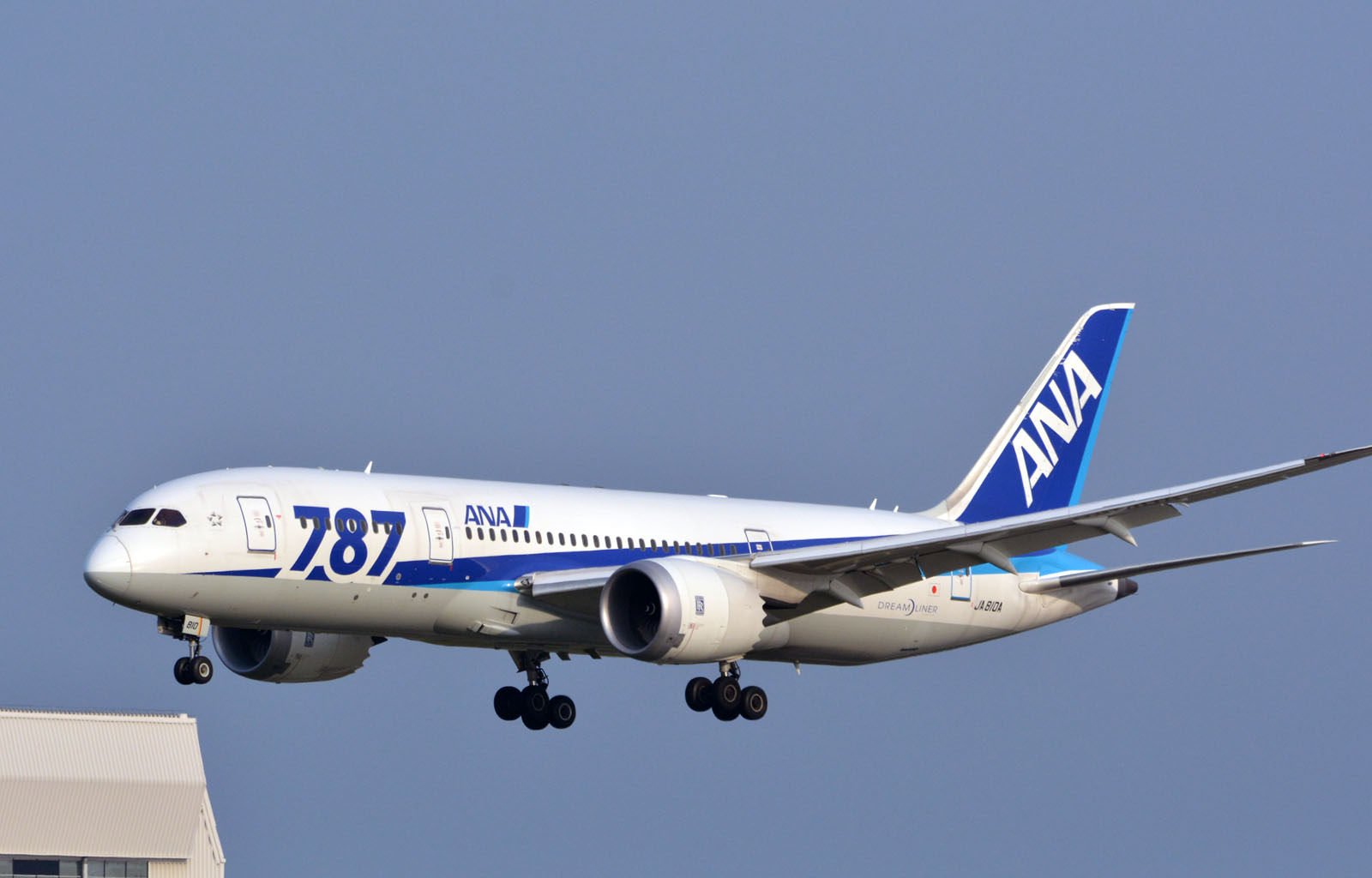 boeing 787, Dreamliner, Airliner, Airplane, Plane, Transport, Aircrafts Wallpaper