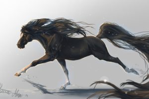 horse, Horse, Art, Tail, Animal, Griva, Hooves