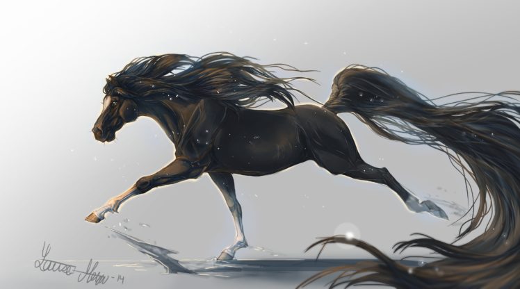 horse, Horse, Art, Tail, Animal, Griva, Hooves HD Wallpaper Desktop Background