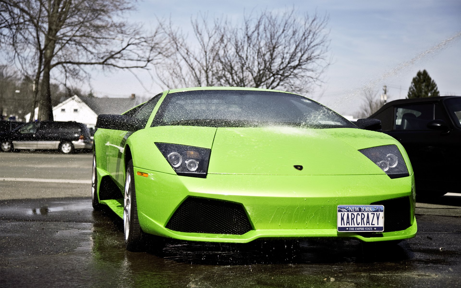 lamborghini, Murcielago Wallpaper