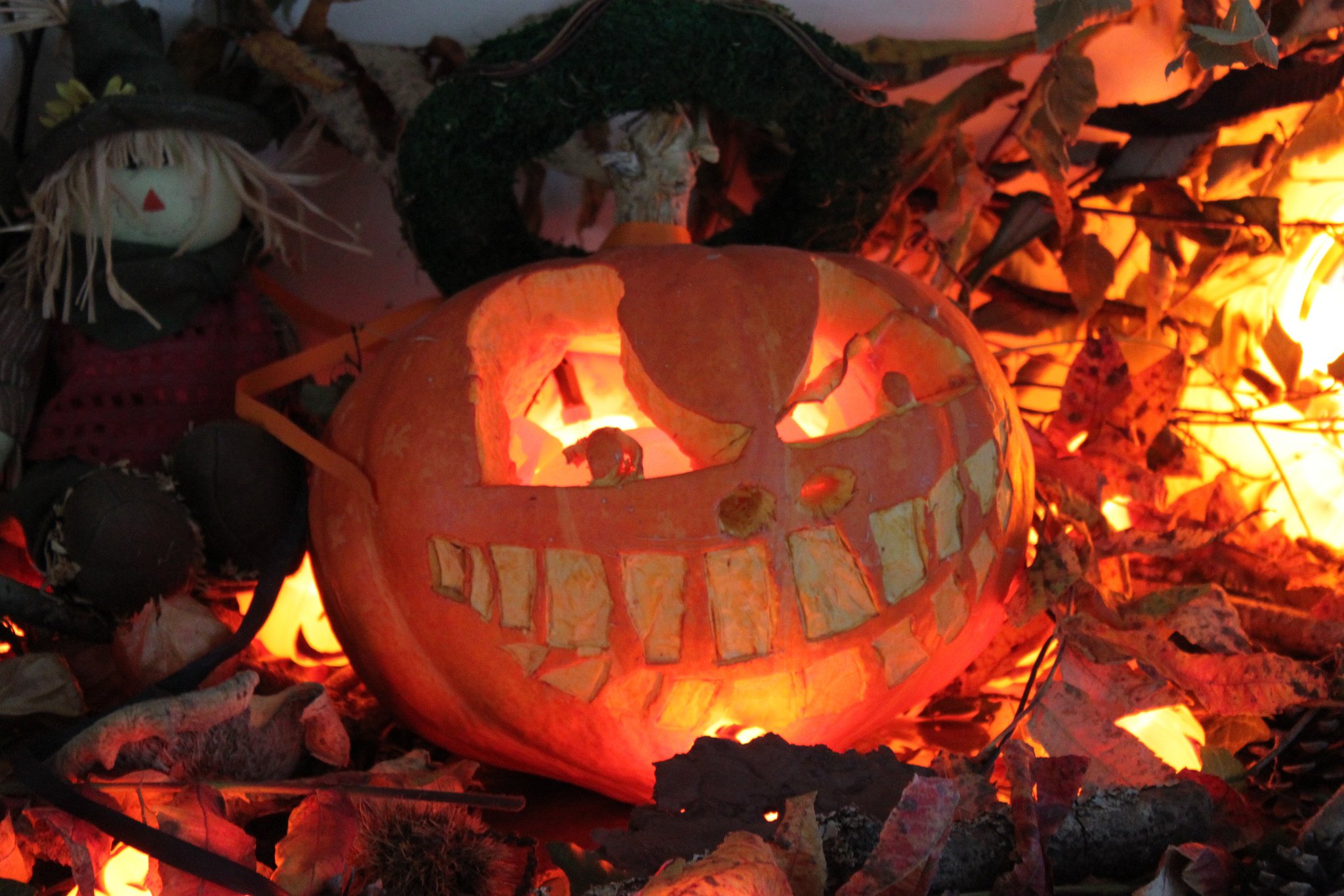 halloween, Citrouille, Pumpkin Wallpaper