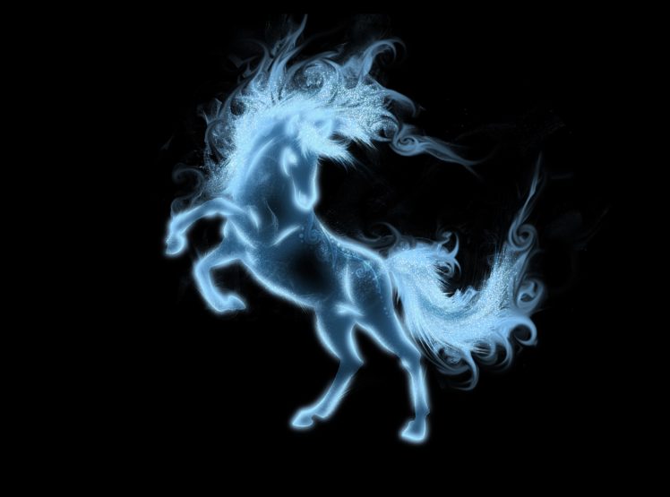 hooves, Tail, Griva, Horse, Animal, Black, Background HD Wallpaper Desktop Background