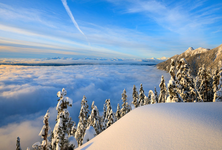 clouds, Trees, Landscape, Forest, Snow, Winter HD Wallpaper Desktop Background