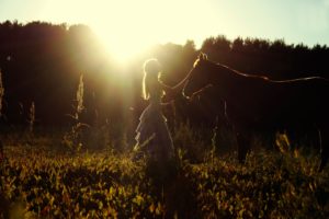 summer, Field, Horse, Girl, Sun, Amazing, Beautiful