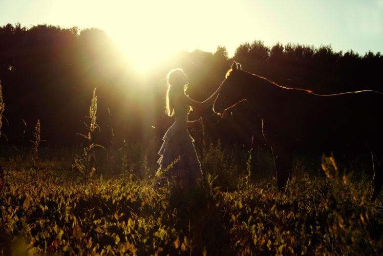 summer, Field, Horse, Girl, Sun, Amazing, Beautiful HD Wallpaper Desktop Background