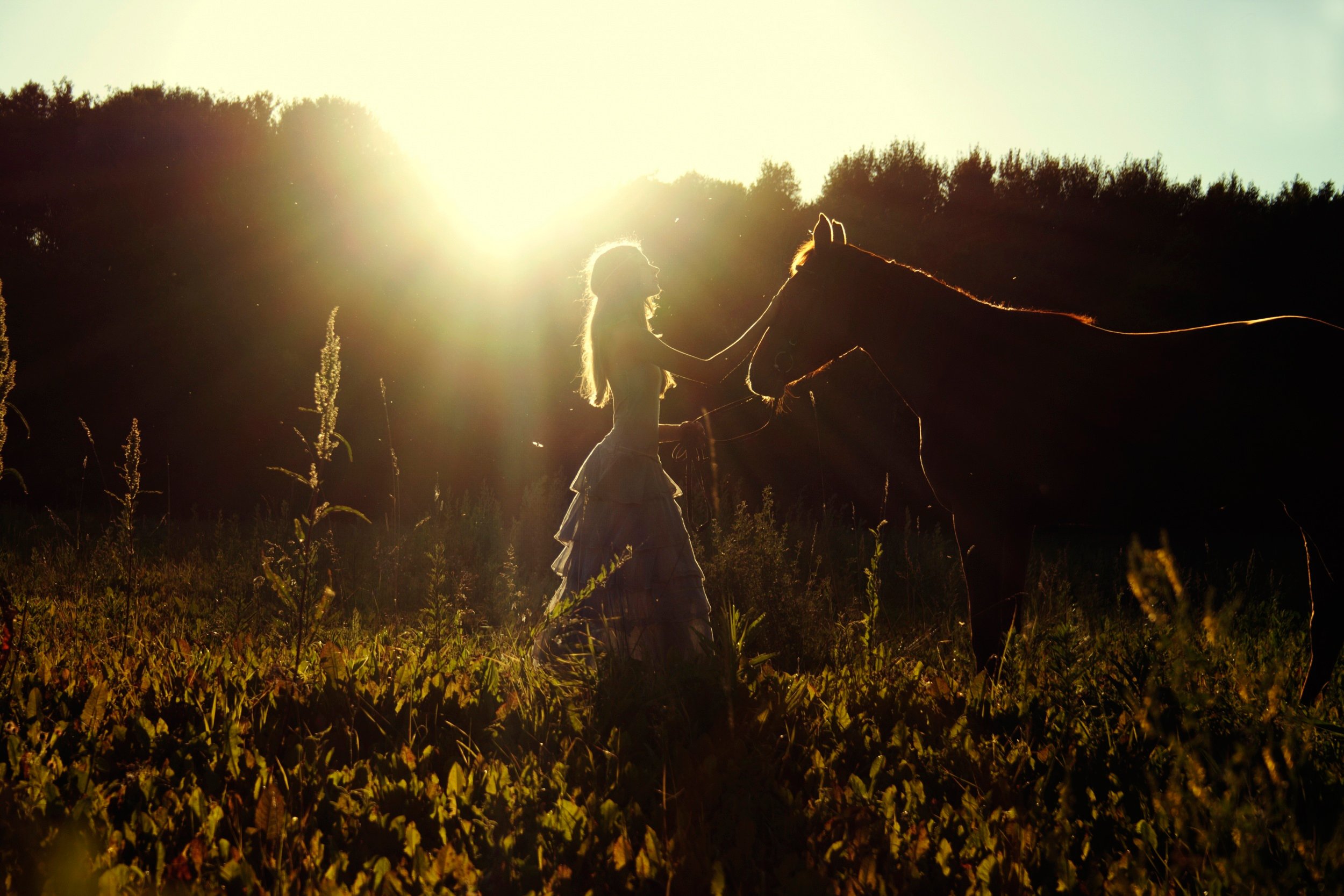 summer, Field, Horse, Girl, Sun, Amazing, Beautiful Wallpaper