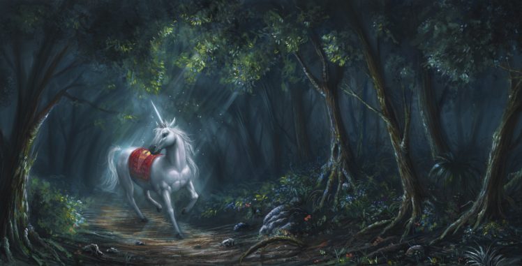 fantasy, Horse, Forest, Horn, Art, Unicorn, White HD Wallpaper Desktop Background