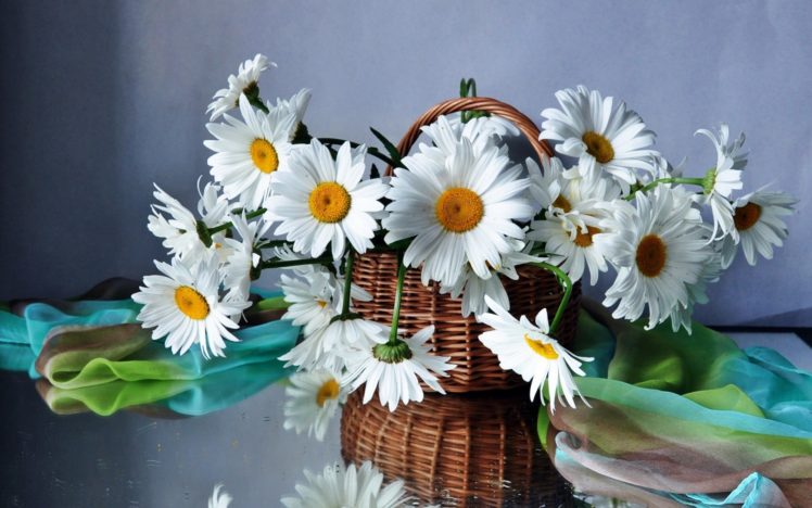 daisies, Flowers, Flower, Bouquet, Beautiful, Field, Basket, Still, Life, Bouquet HD Wallpaper Desktop Background