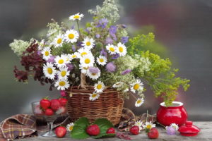 daisies, Flowers, Flower, Bouquet, Strawberries, Berries, Still, Life, Bouquet