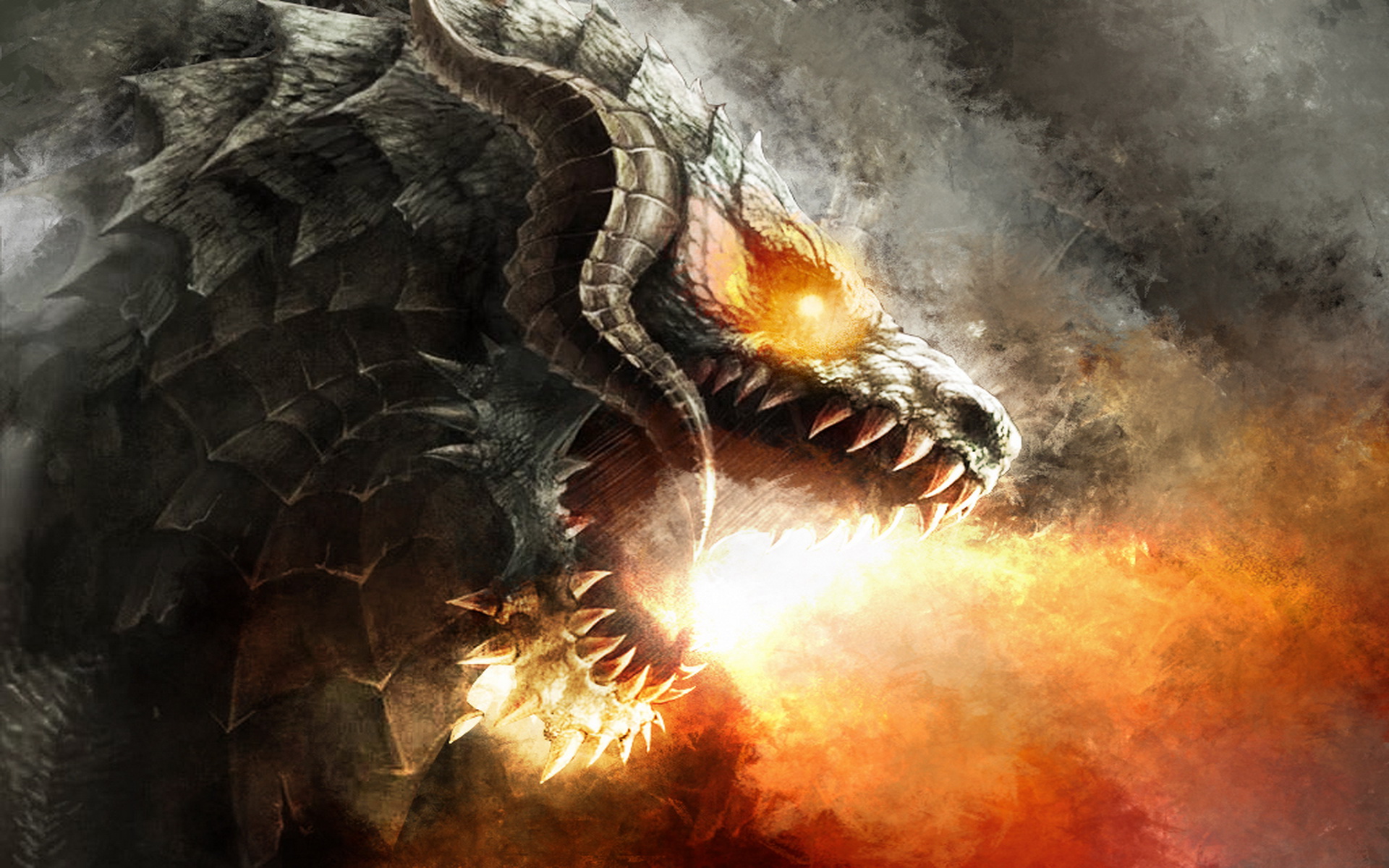 dragon, Fire Wallpaper