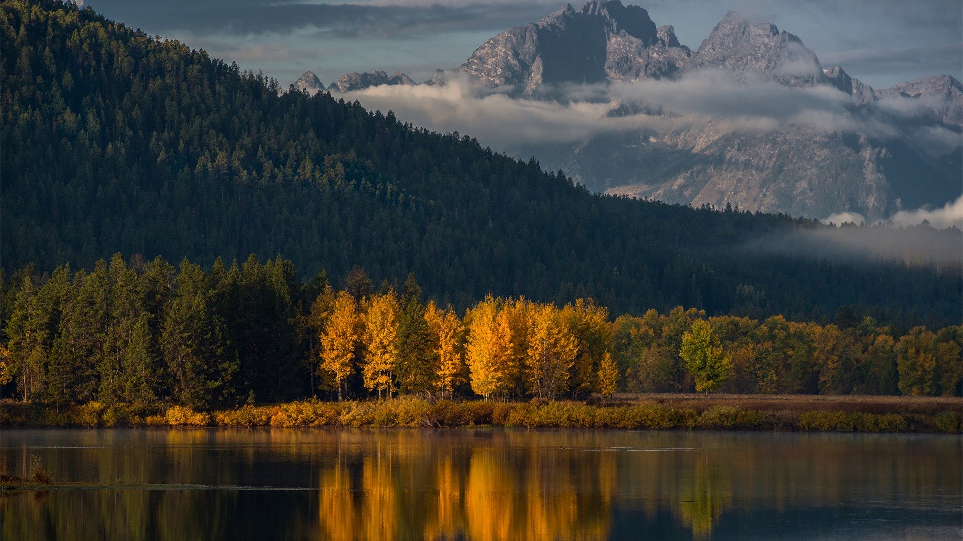 490191 Wallpapers HD / Desktop and Mobile Backgrounds