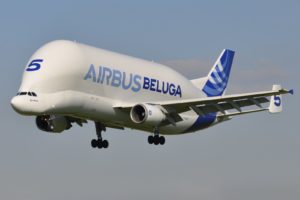 airbus, Beluga, A300, 600st, Cargo, Aircrafts, Airliner, Airplane, Plane, Transport, Sky