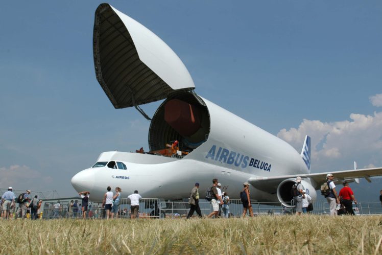 airbus, Beluga, A300, 600st, Cargo, Aircrafts, Airliner, Airplane, Plane, Transport, Sky HD Wallpaper Desktop Background