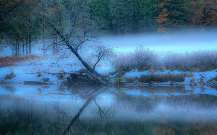 landscape, River, Fog, Forest, Trees, Reflection HD Wallpaper Desktop Background