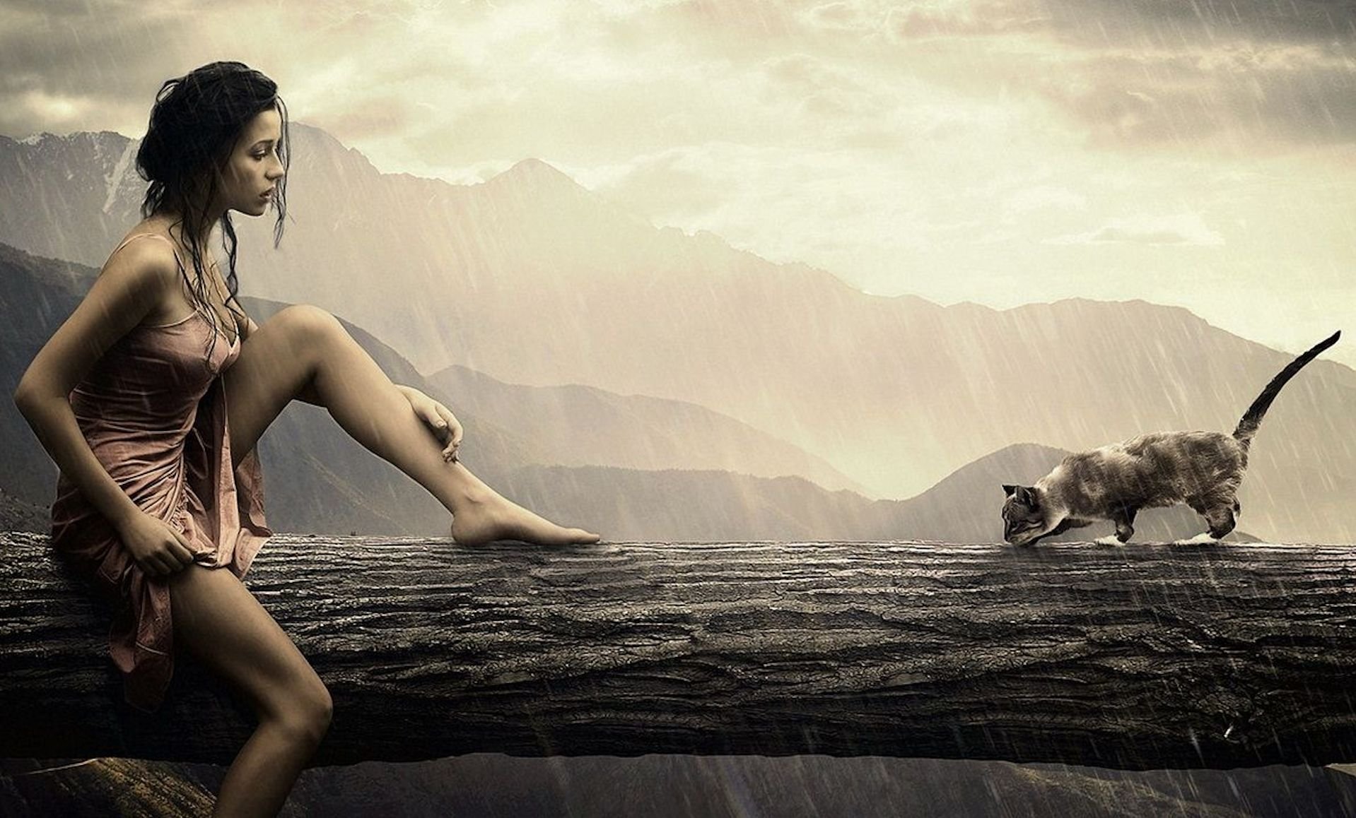 woman cat desktop background 334757 Wallpaper
