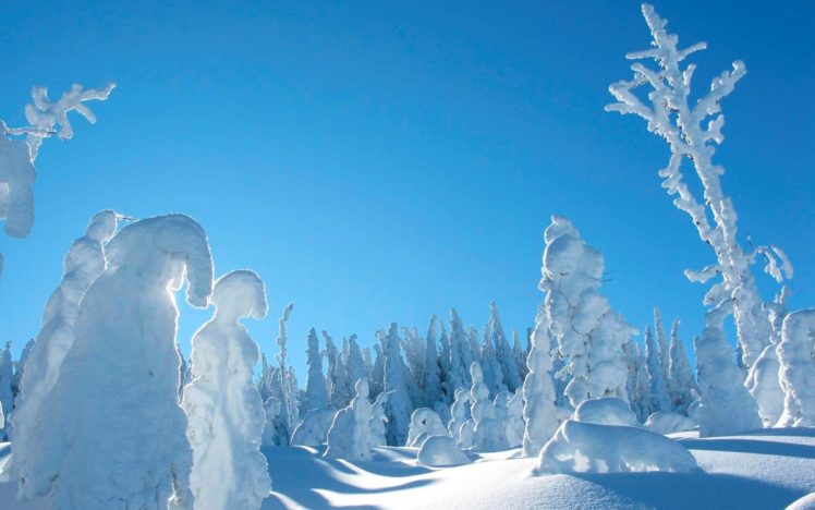 snow, Winter, Trees, Sky HD Wallpaper Desktop Background