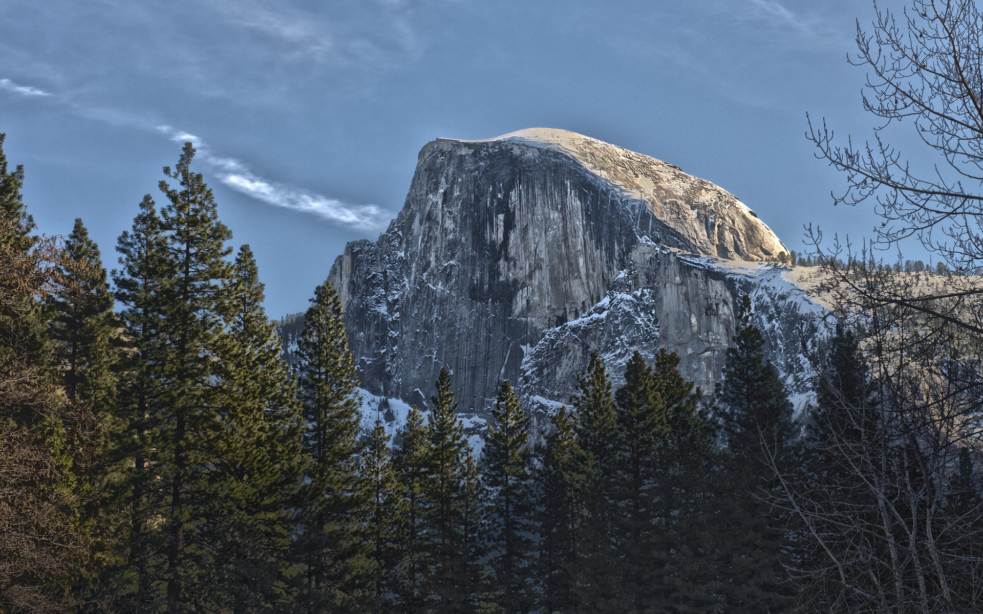 yosemite, Cliff, Mountain, Trees, Forest Wallpaper
