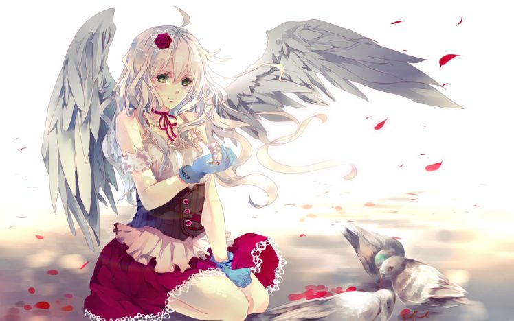 art, Girl, Wings, Birds, Pigeons, Petals, Rose HD Wallpaper Desktop Background