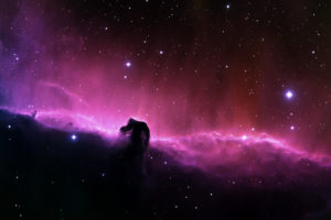 horse, Head, Nebula