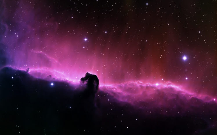 horse, Head, Nebula HD Wallpaper Desktop Background