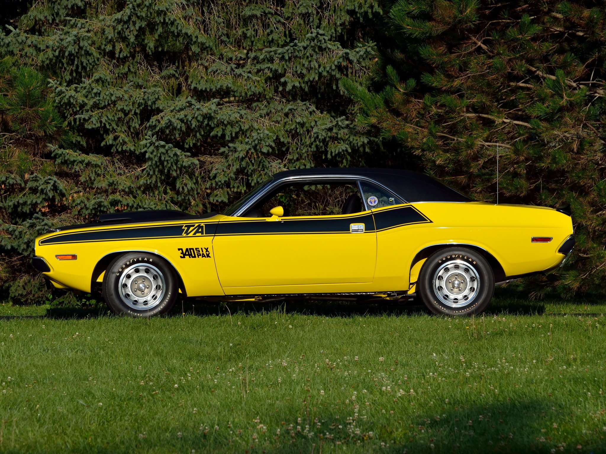 1970, Dodge, Challenger, T a, 340, Six, Pack, Muscle, Classic Wallpaper